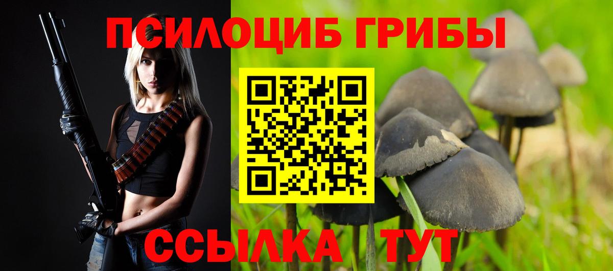Дальнереченск  Галлюциногенные грибы GOLDEN TEACHER  Вход с VPN  Псилоцибиновые грибы прущие грибы 